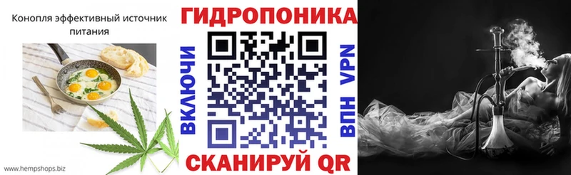 где можно купить   Талдом  ОМГ ОМГ онион  Cannafood конопля 
