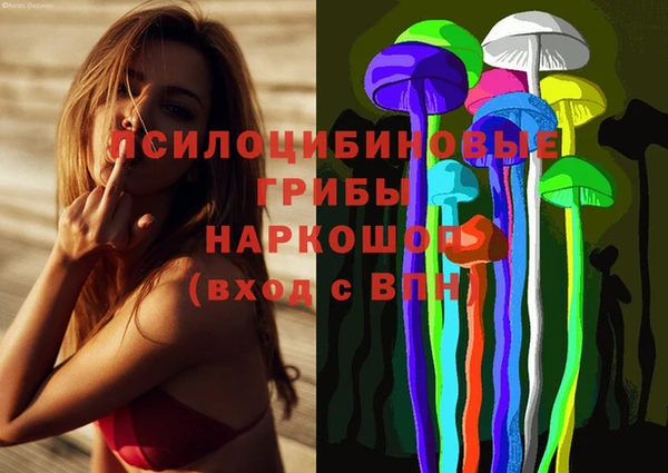 apvp Алексин