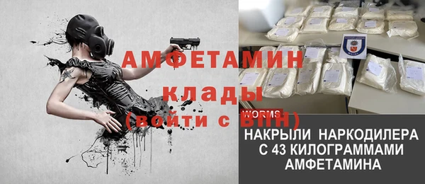 таблы Гусев